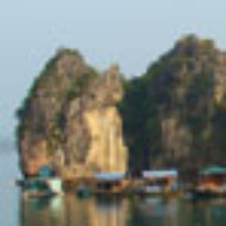 Jalepeno's Mexican Restaurant